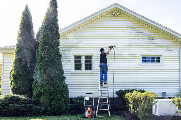 Best Sidewalk and Walkway Cleaning  in Warm Mineral Springs, FL